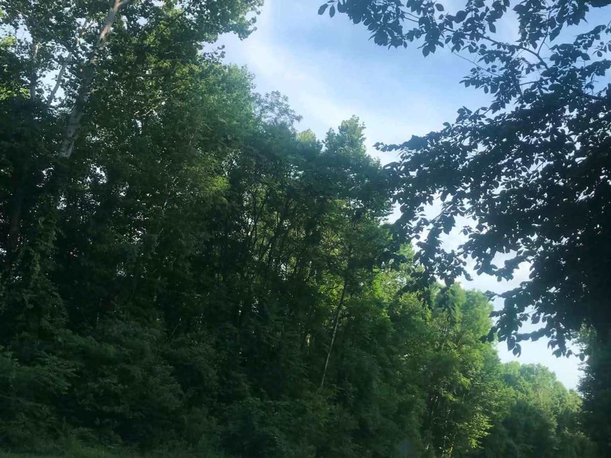 Town Highway 319 photo 3