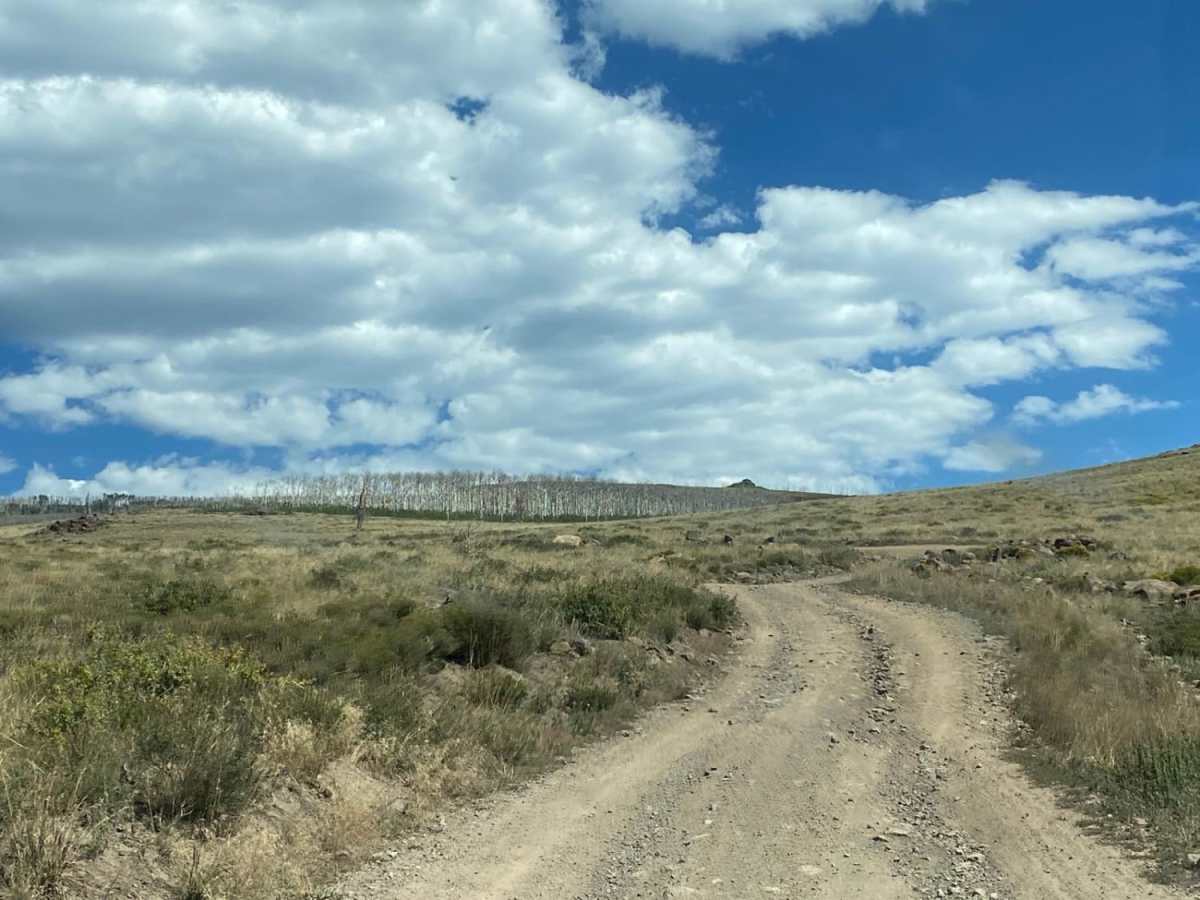 Hilltop Loop photo 2