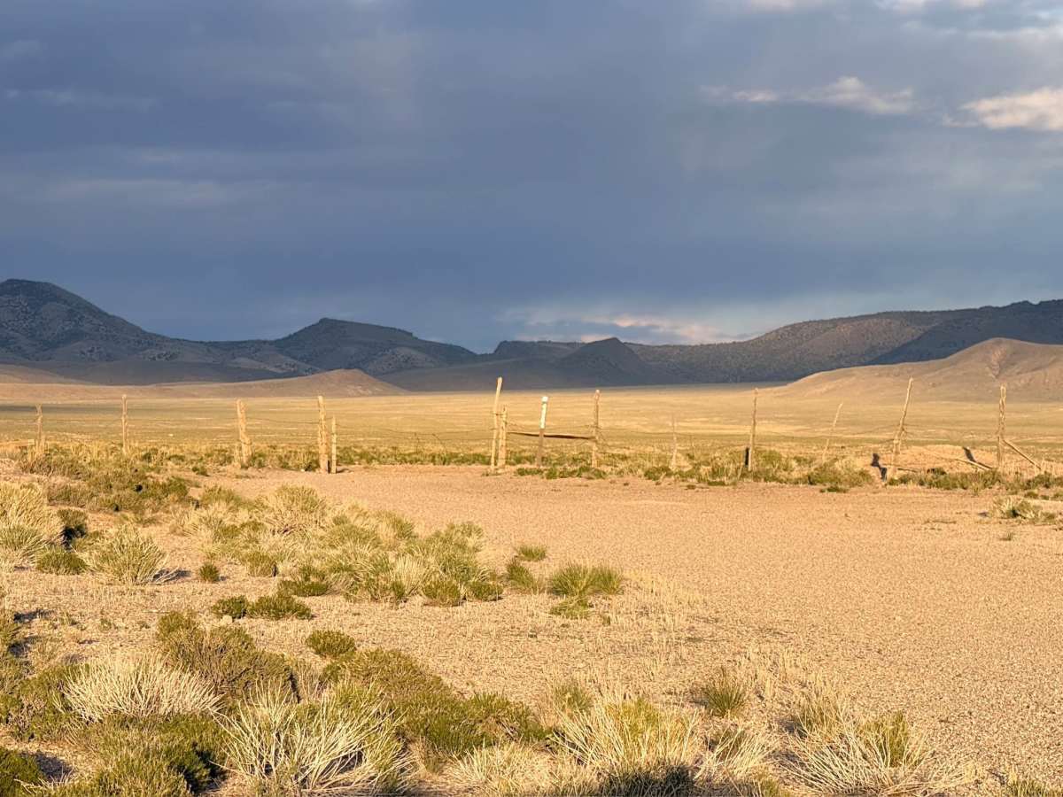 Warm Springs - FS 44174 photo 4
