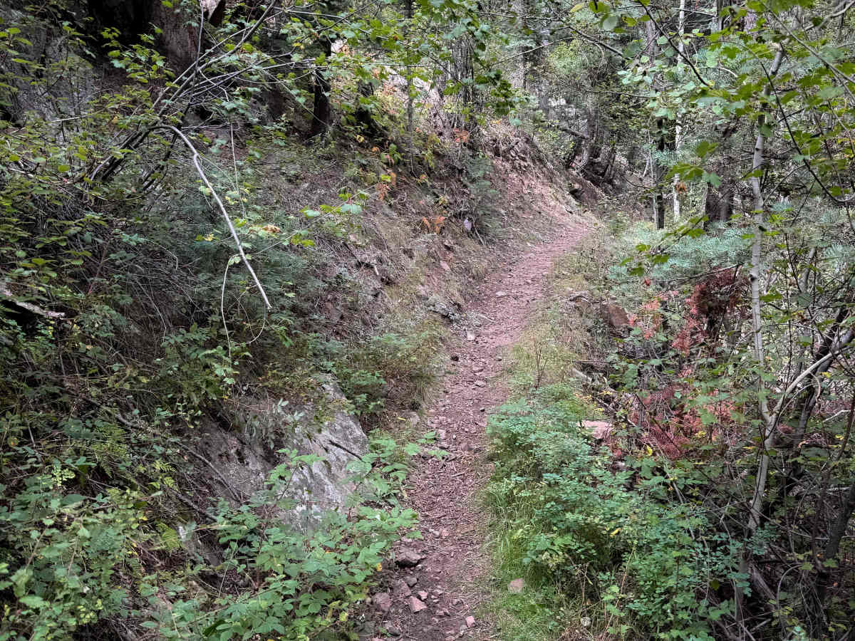Lion Canyon Trail 1329  photo 6