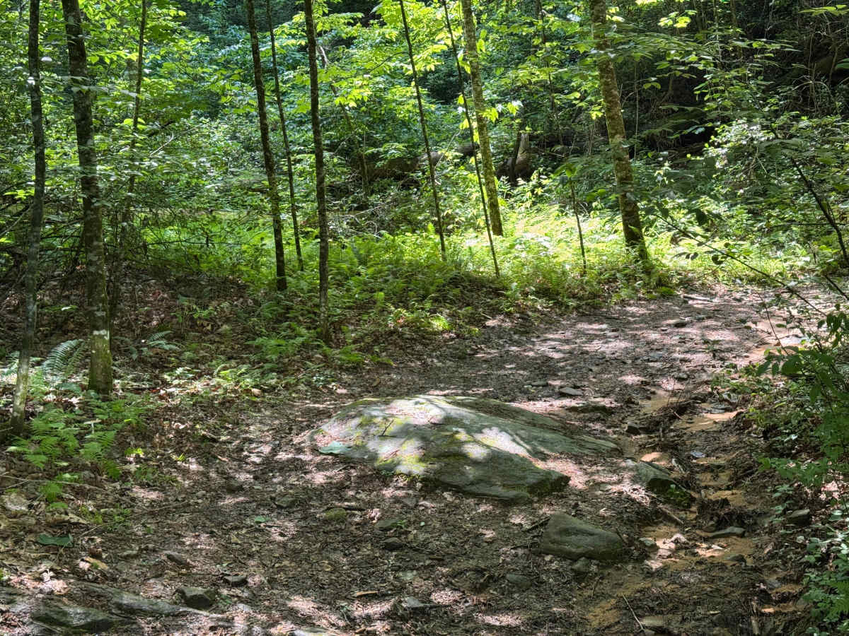Slick Shoals - FS 24 photo 2