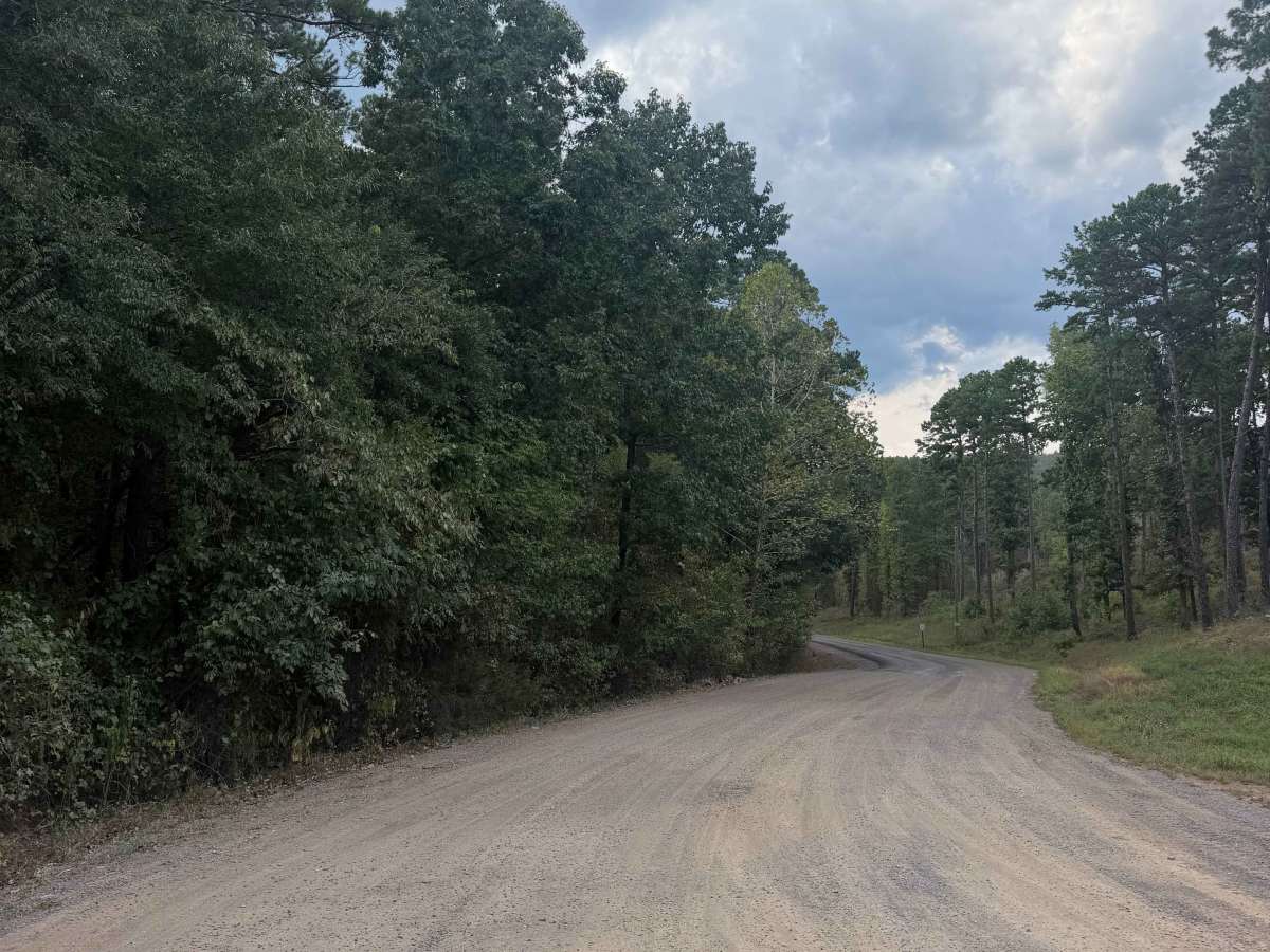 Blue Jay Hollow photo 4
