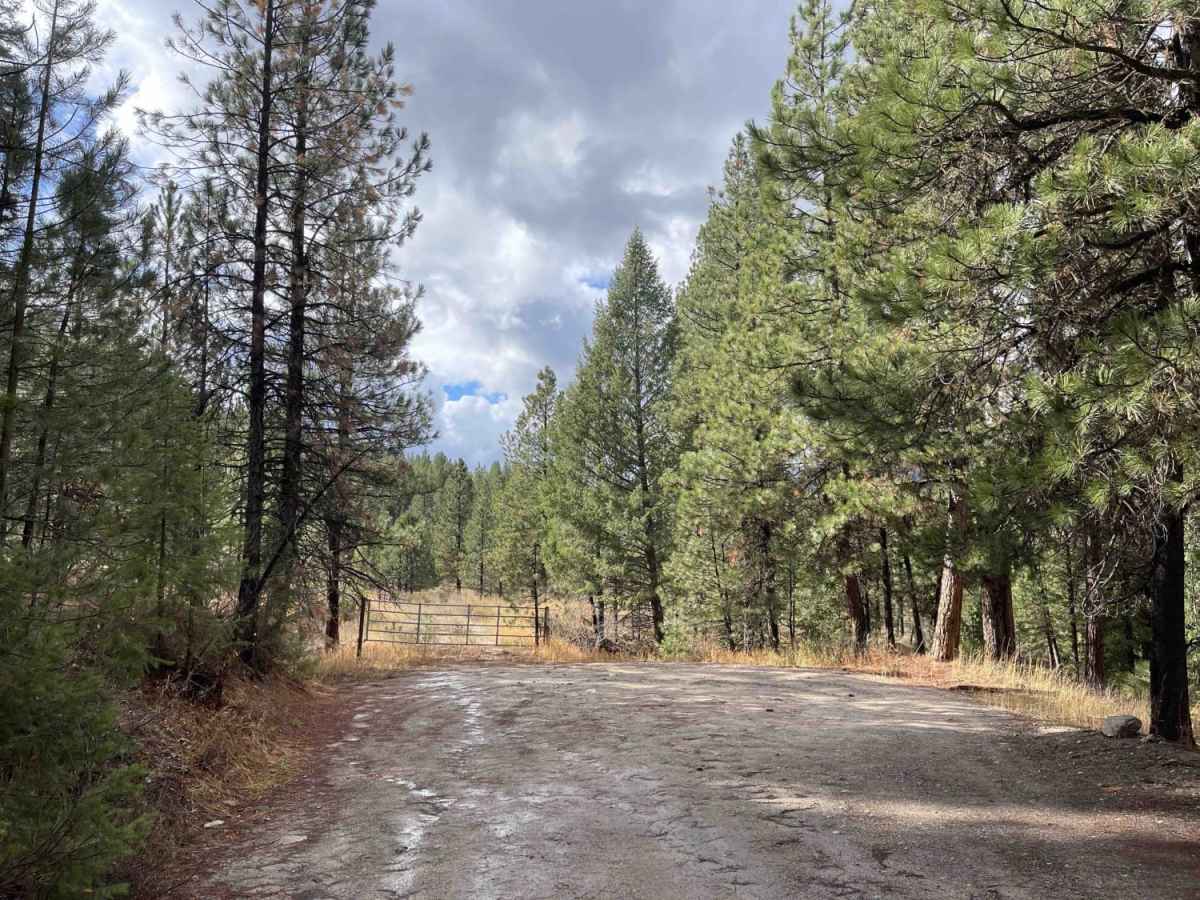 7 Mile Road photo 4