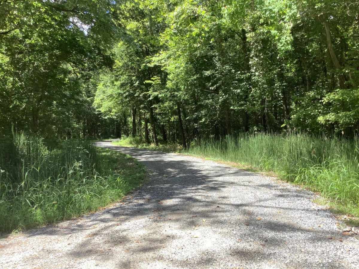 Sherburne Wildlife Management Area (WMA) Trail trail photo