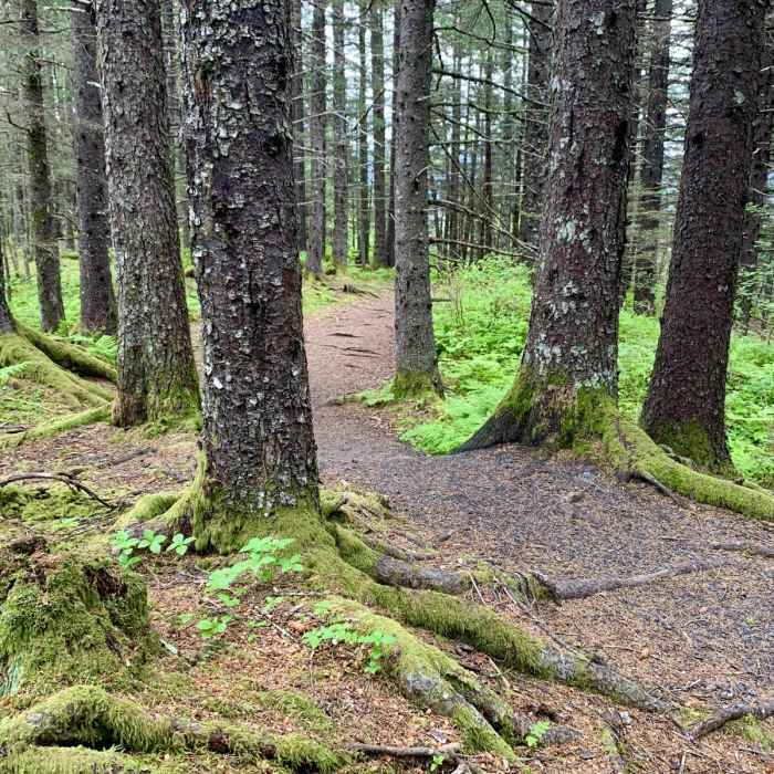 Near Two Lakes Loop Near Two Lakes Loop