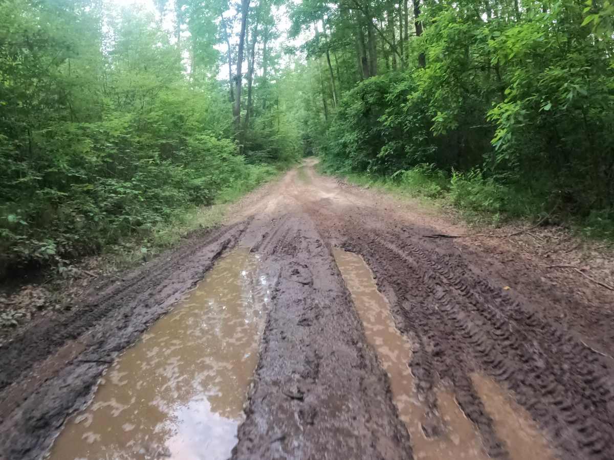 East Evart trail photo