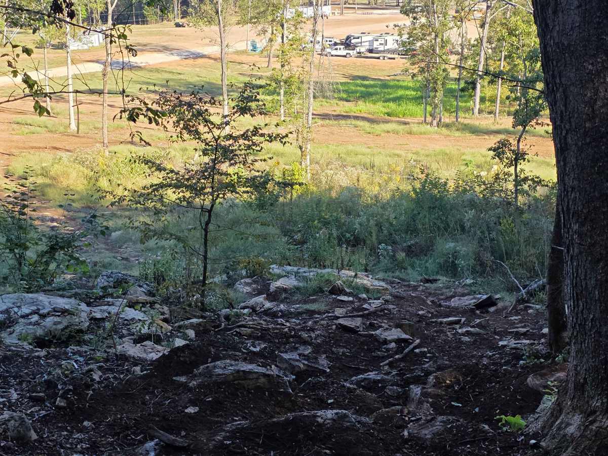 Can-am photo 5