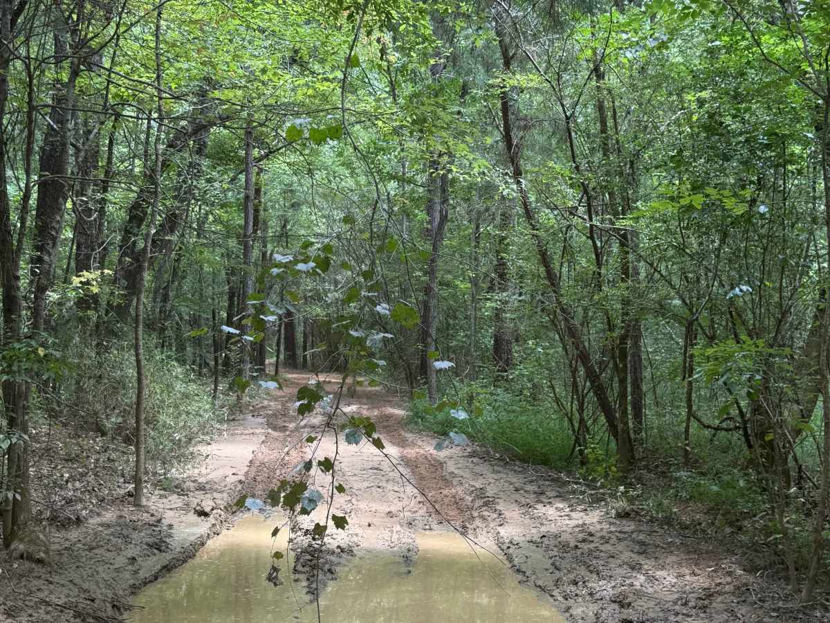 401C Mud trail photo