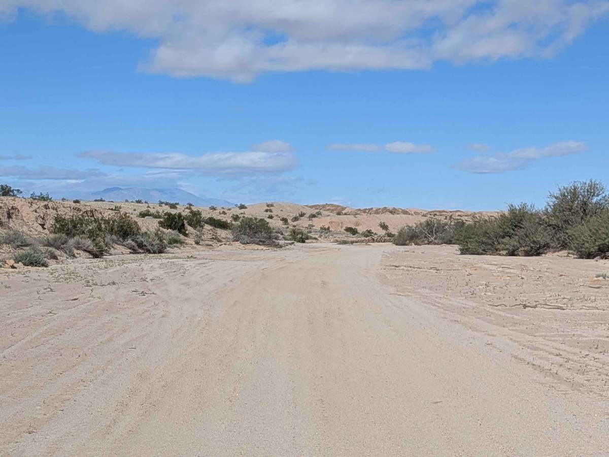 BLM 329 photo 3