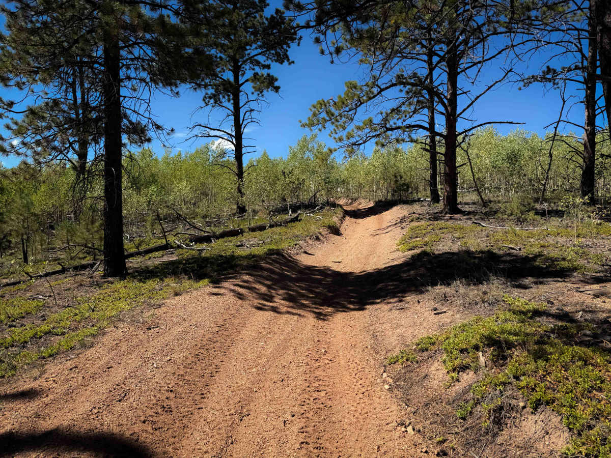 Wildhorn Spur 717E  photo 5