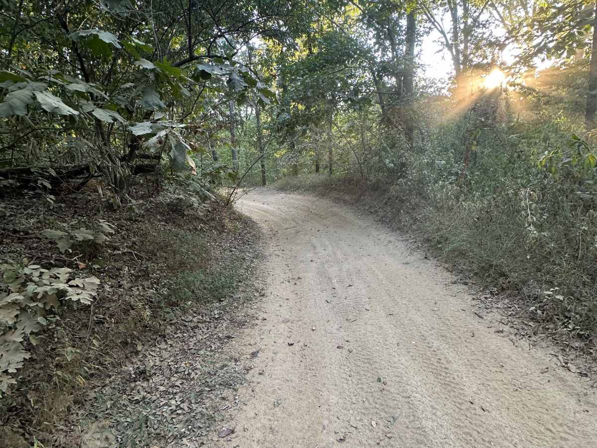 The Switchback photo 3