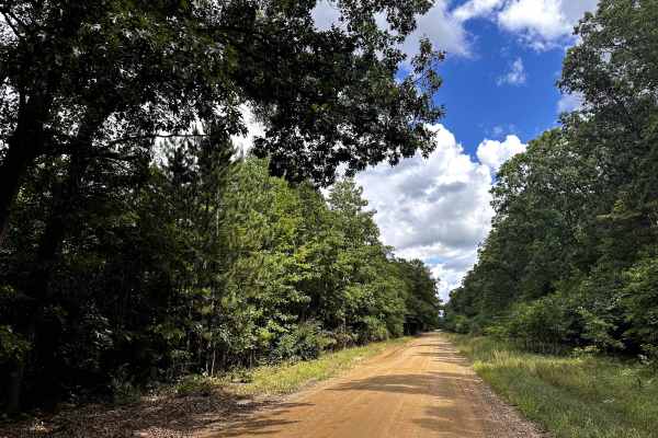 116th Avenue
