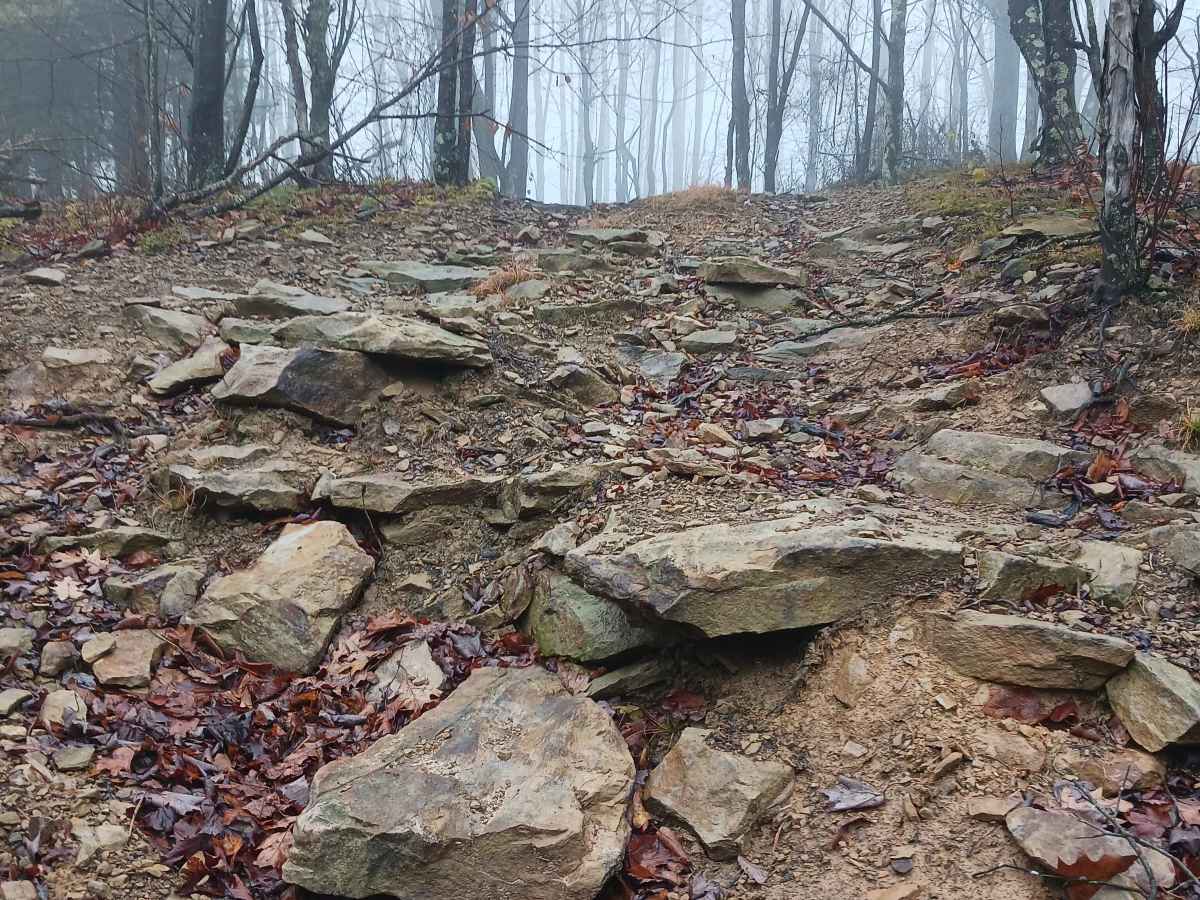 OHV 19 - Rock Run Recreation Area trail photo