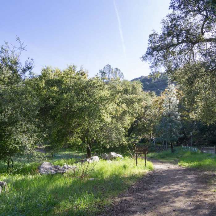 Near Millard Falls Hike