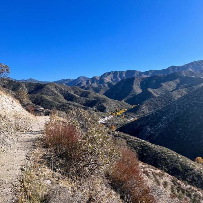 Near Indian Canyon Loop
