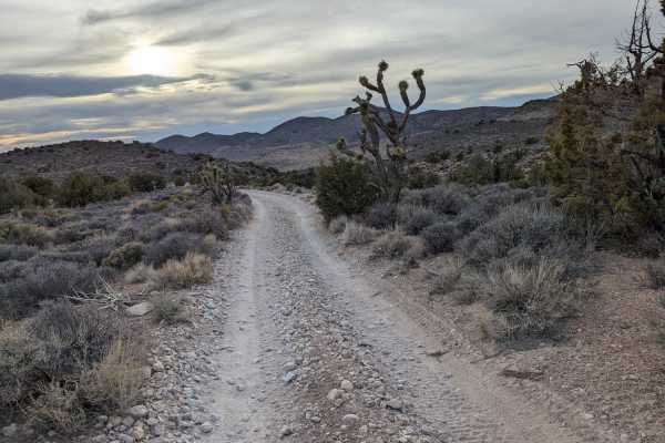 Johnswort Road