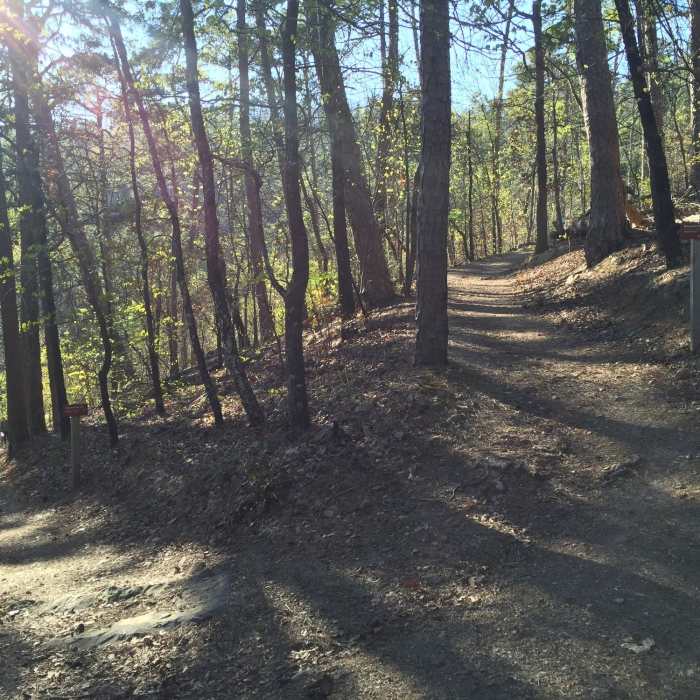 At the split stay to the right if you parked and started at Whittington Park. This is the end of the West Mountain Trail. Near Sunset Loop