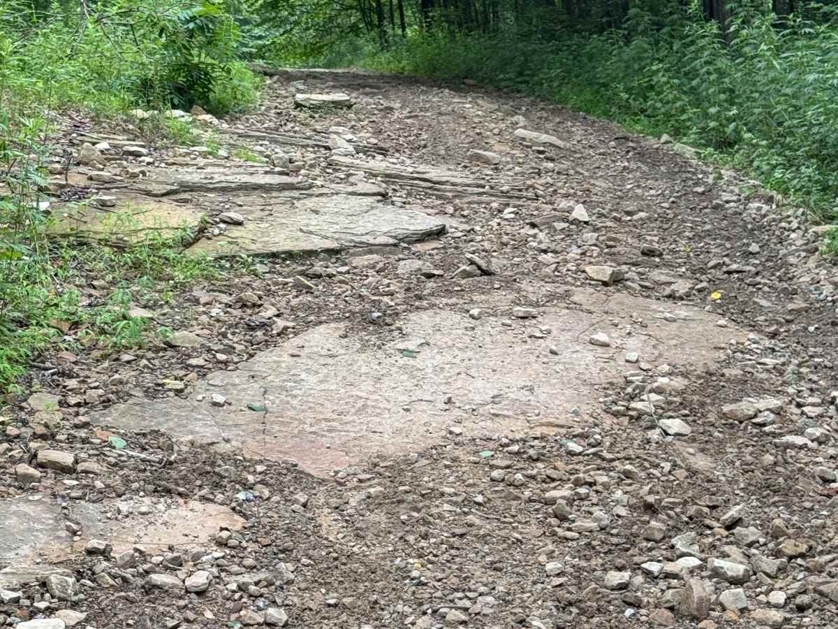 Trail 24 photo 4