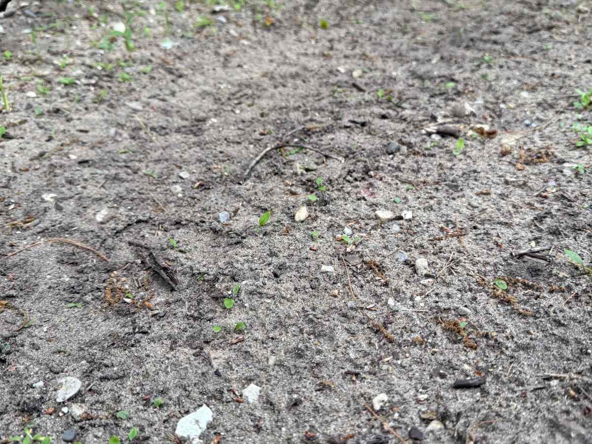 Crofton West Trail photo 2