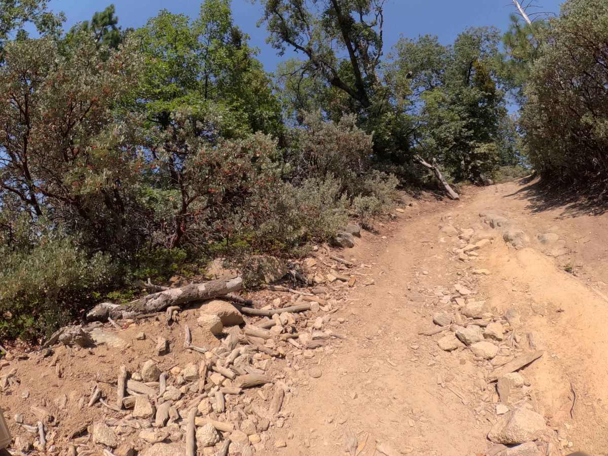 Tijuana Camp - FS 5S041 trail photo