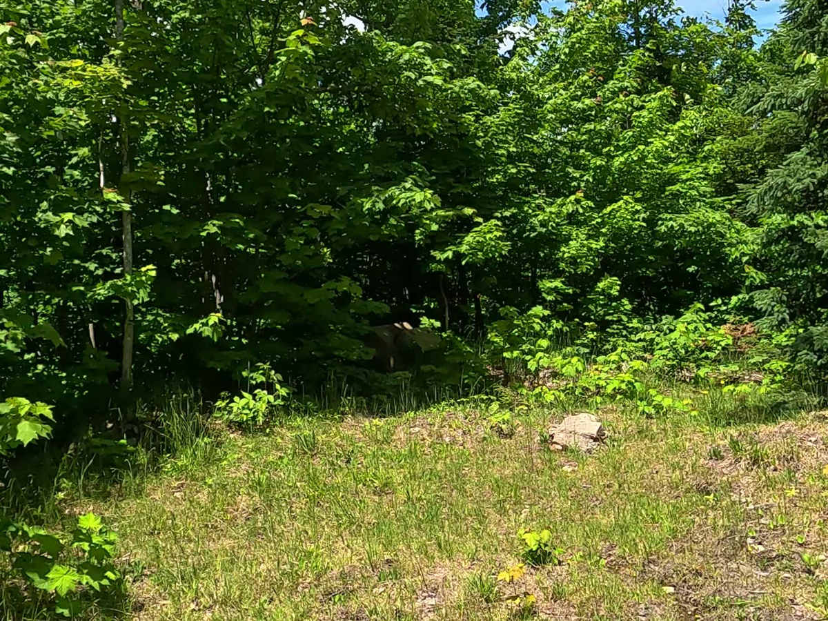 Little Pup Creek - Watch Tower Spur photo 6