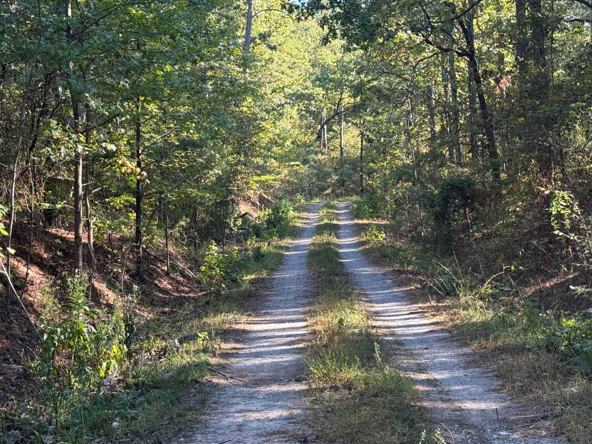 Shack Creek photo 6