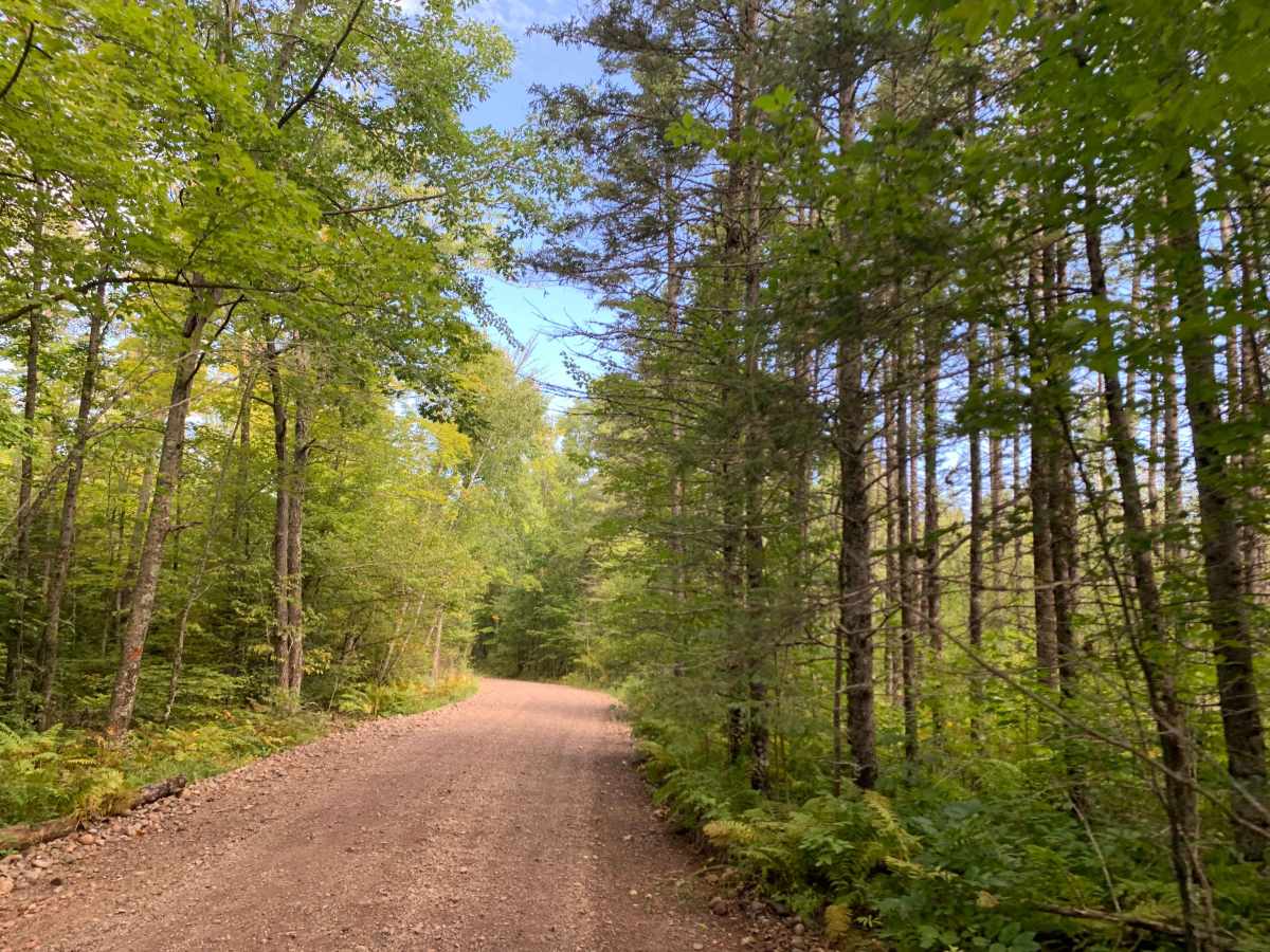 Gravel Pit Trail photo 4