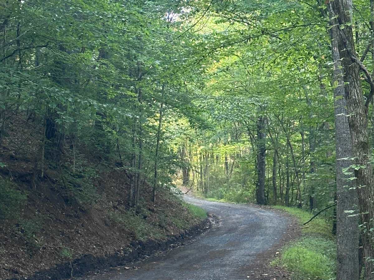 Leatherwood Lodge trail photo