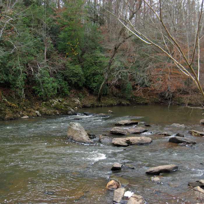 Near Cole Mill Trail