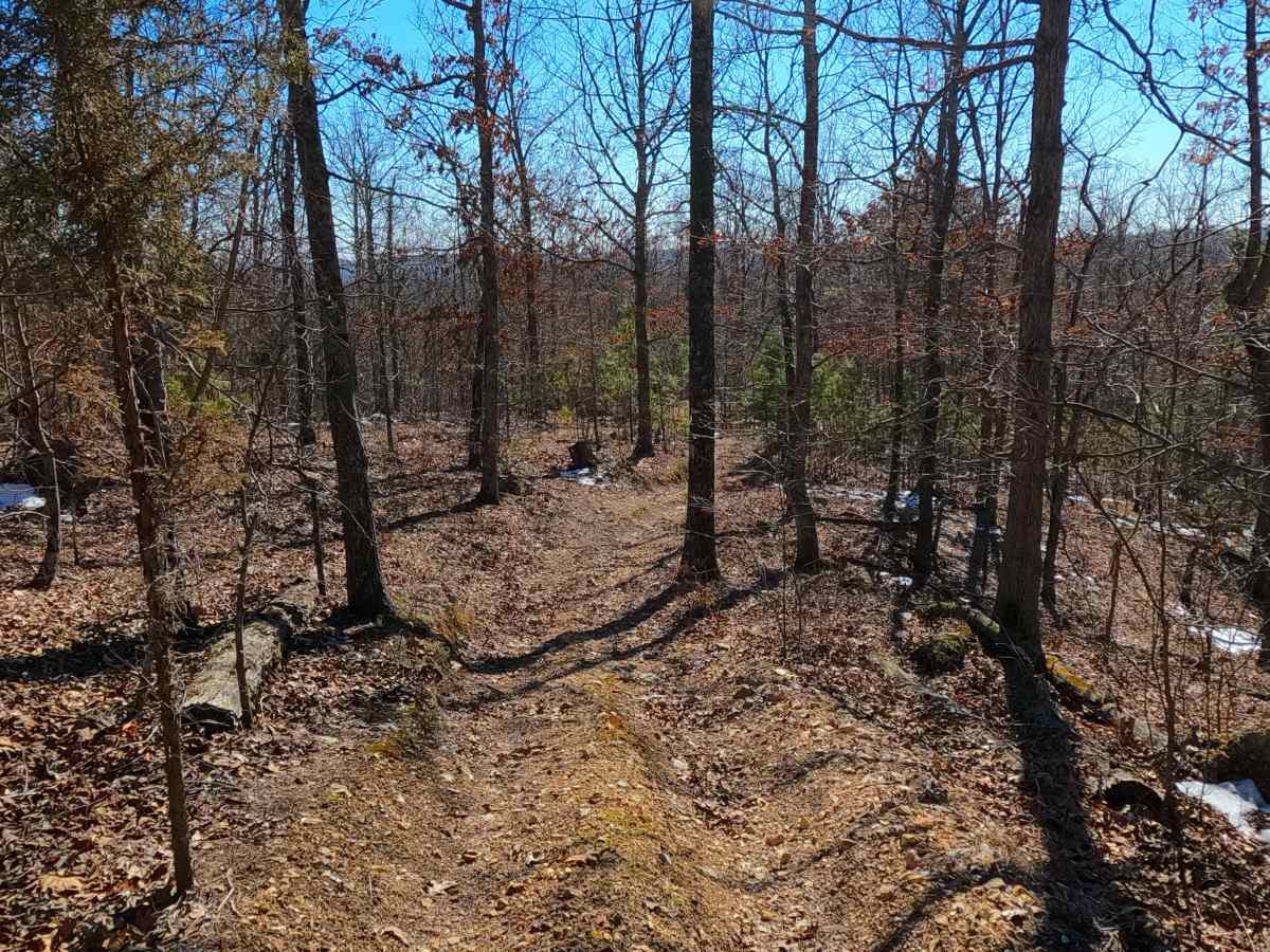 Sutton Bluff ATV 14 North - SB 14 photo 3