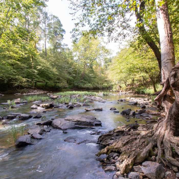 Near Laurel Bluff Trail (Central)
