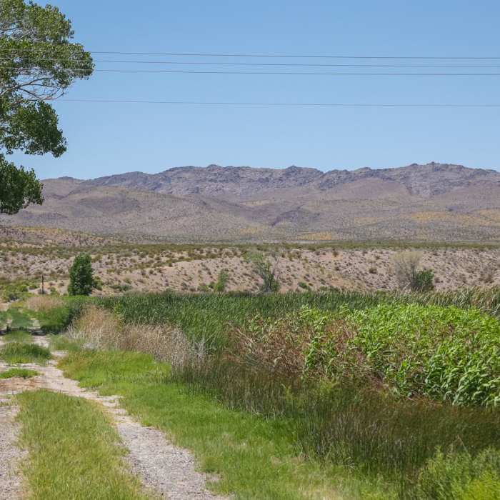 Near Middle Marsh Dike Trail Near Middle Marsh Dike Trail