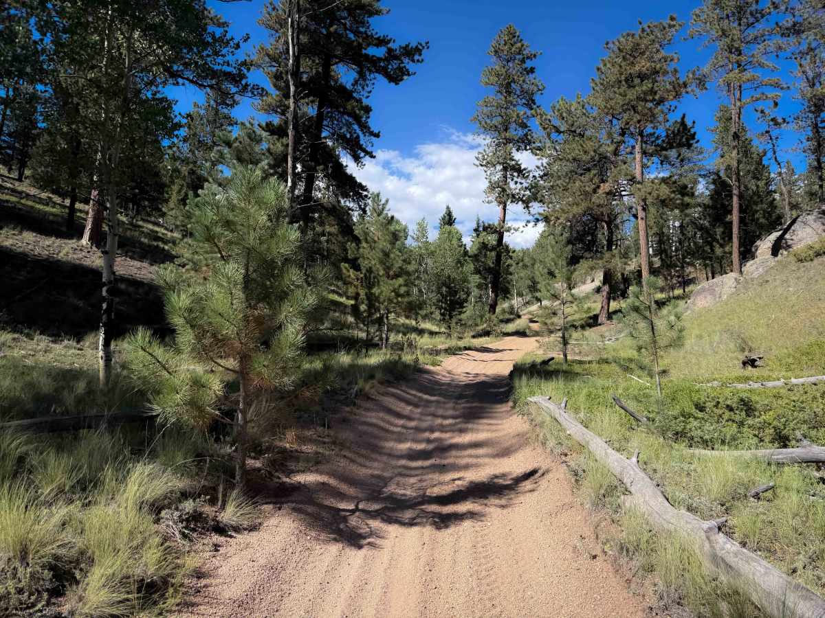 Phantom Spur Trail - FS 717B  photo 6