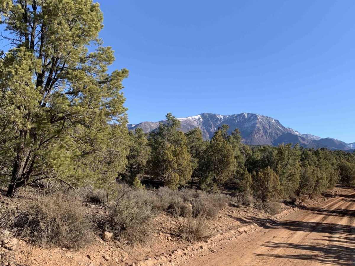 Turkey Road to Lone Pine photo 4