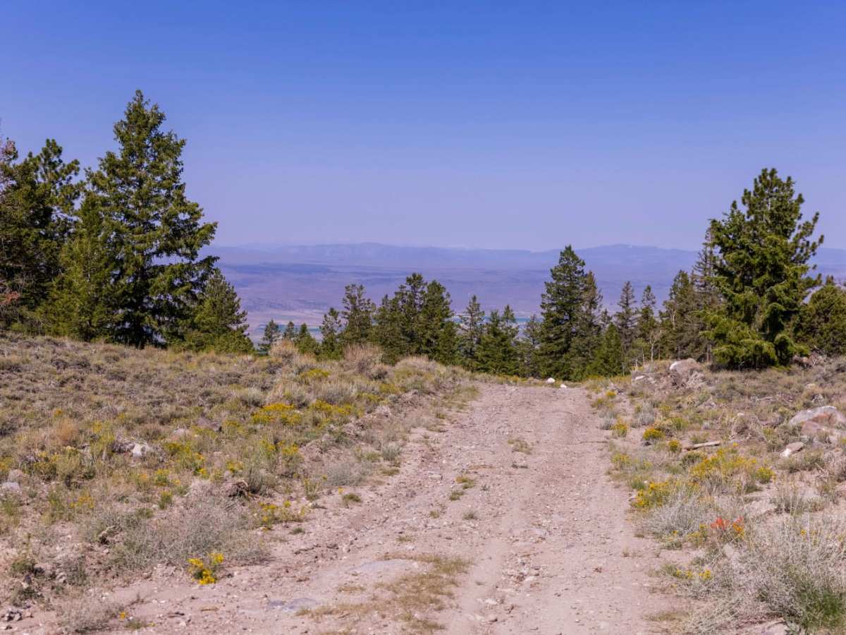 Deep Creek Trail photo 3