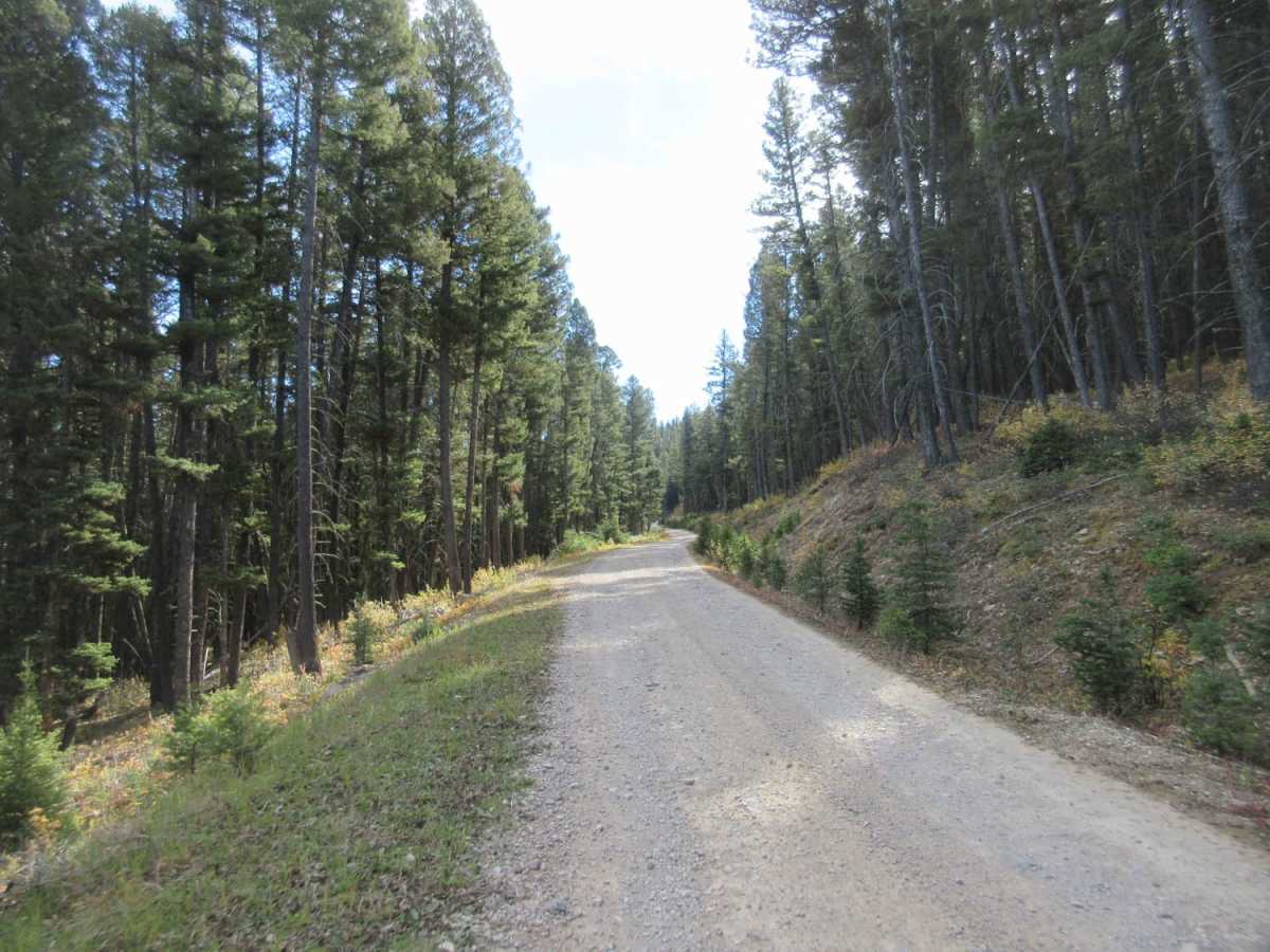 Johnny Ridge Road - FS324 photo 4