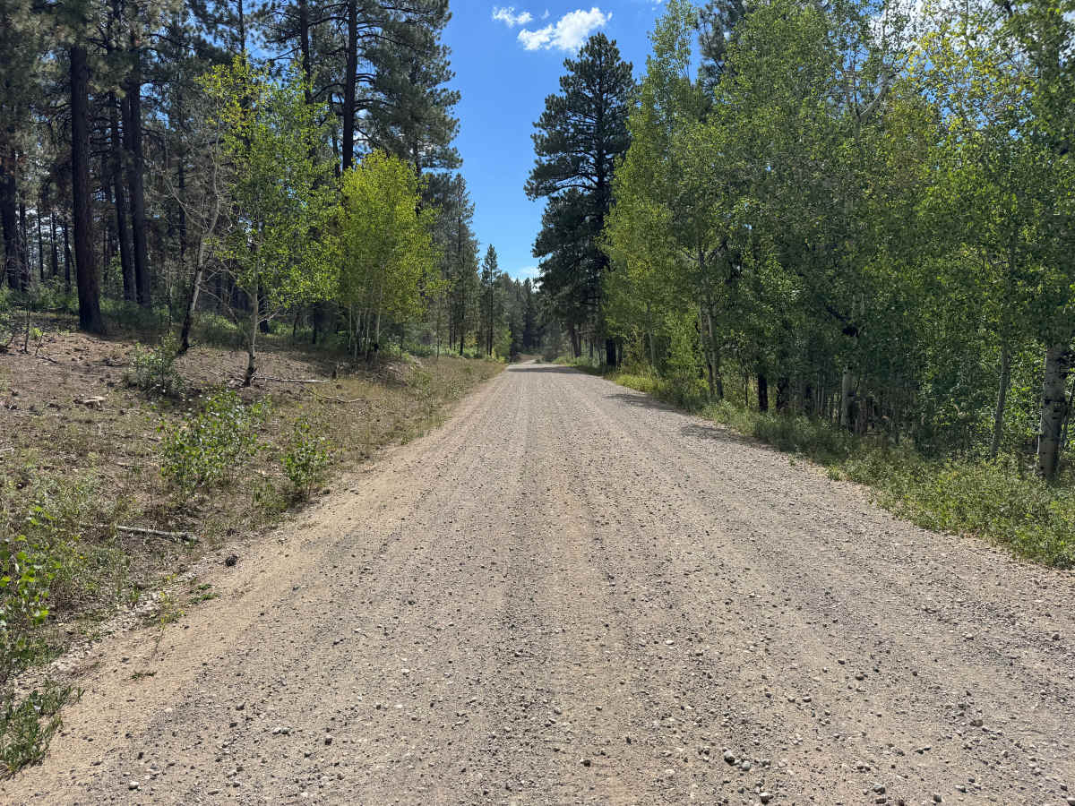 Rock Springs Road photo 2
