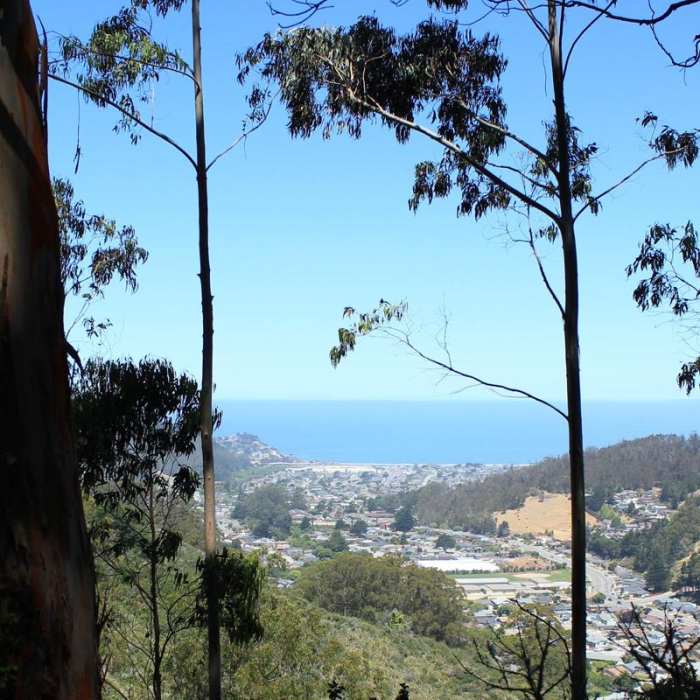 Near Montara Mountain Trail