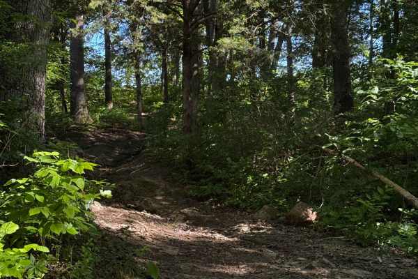 Inner Trail 14