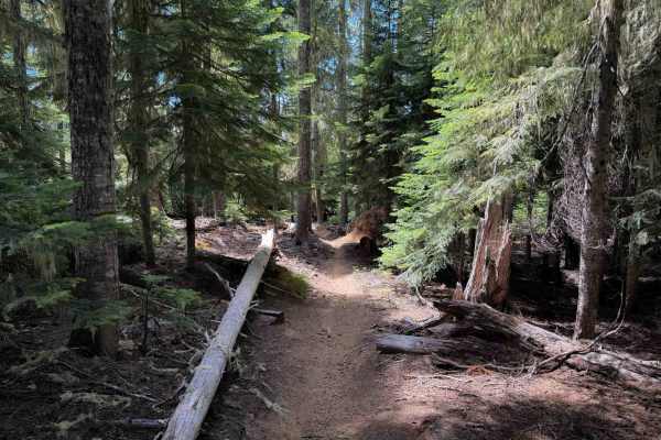 Start O Willamette Trail