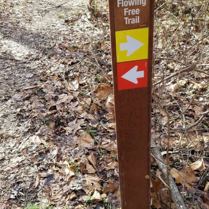 Near Free Flowing Trail