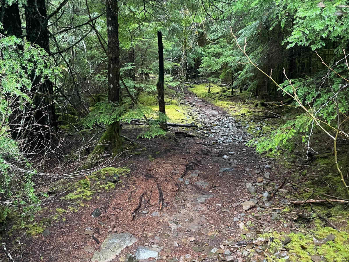 Lava Ridge 1 photo 4