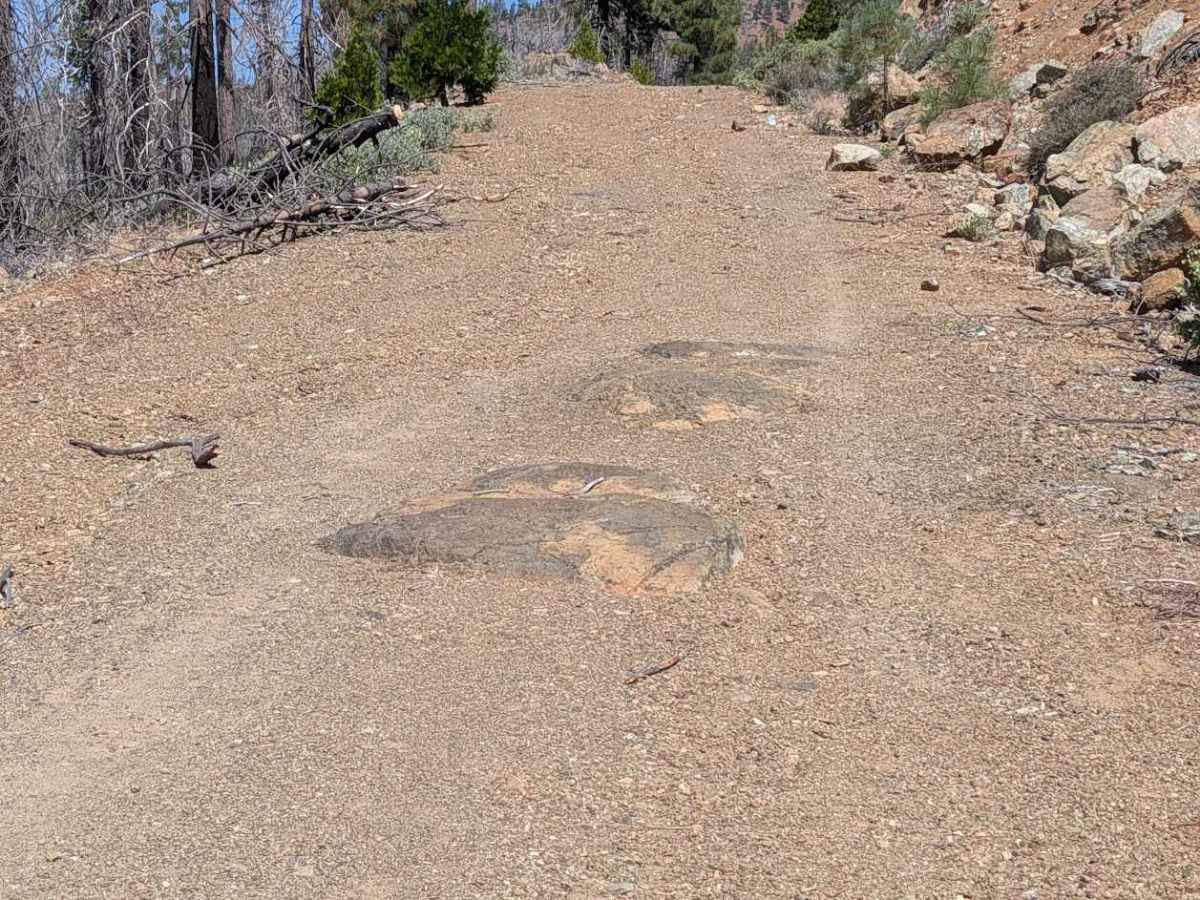 Smokey Creek Road - FS 29N49 photo 4