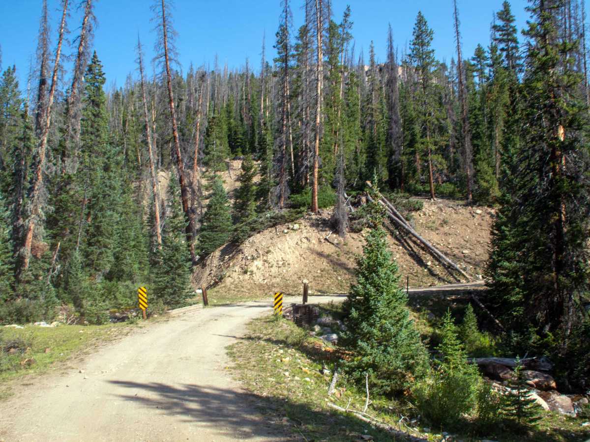 South Fork Rock Creek - FS 10143 photo 4