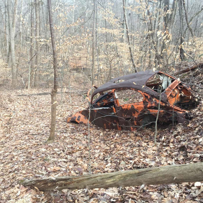 Near Fairland Recreation Park