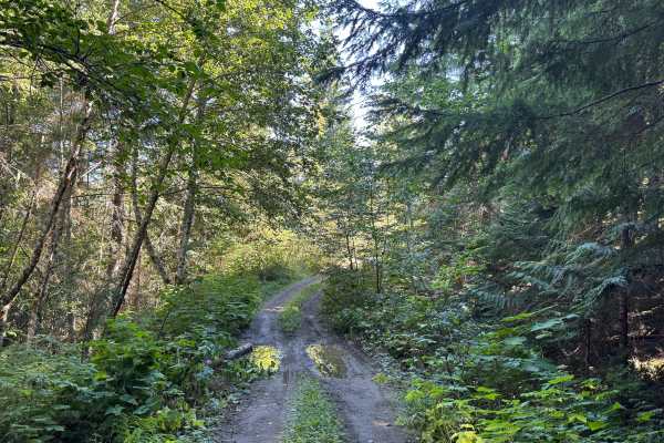 Peekaboo Lake Trail