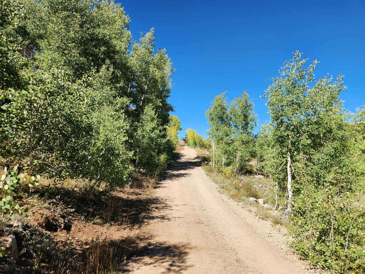 Old Ephraim Tunnel Trail - FS 52148 photo 3