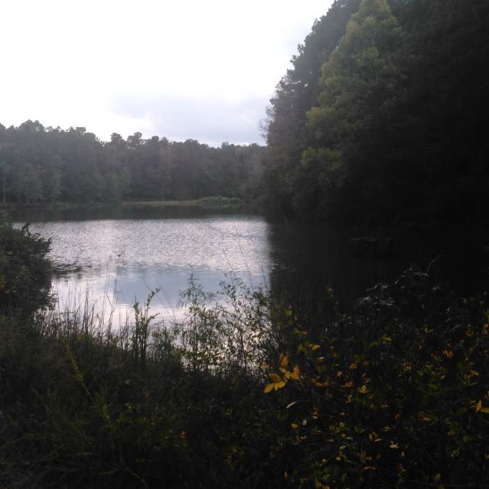 Near Durant Nature Park Loop