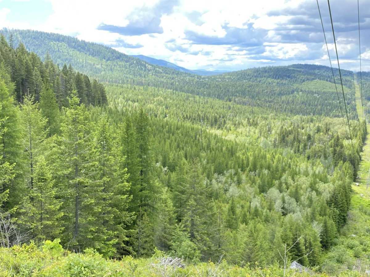 Smackout Pass trail photo