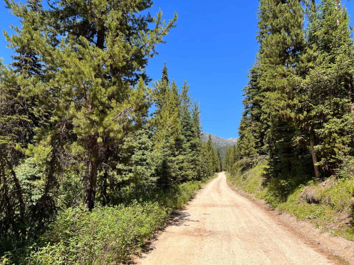 Moose Creek & Trail 40 photo 4